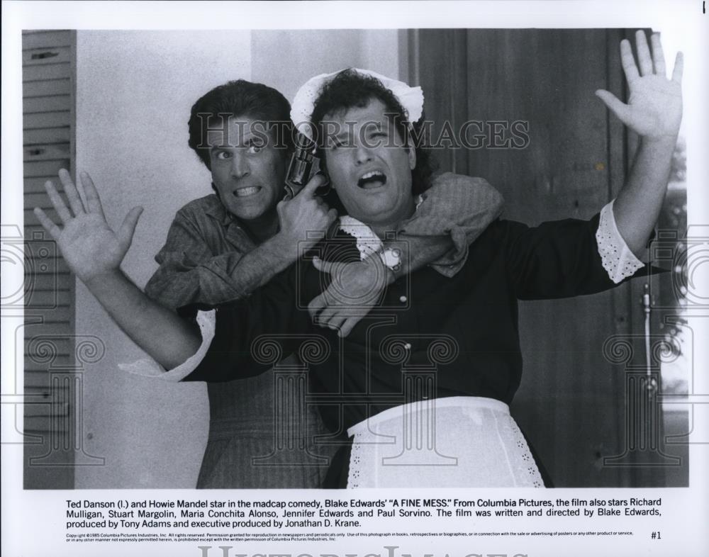 1987 Press Photo A Fine Mess Ted Danson Howie Mandell - cvp50039 - Historic Images
