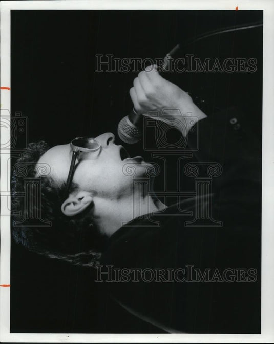 1979 Press Photo Singer Graham Parker - cvp49698 - Historic Images