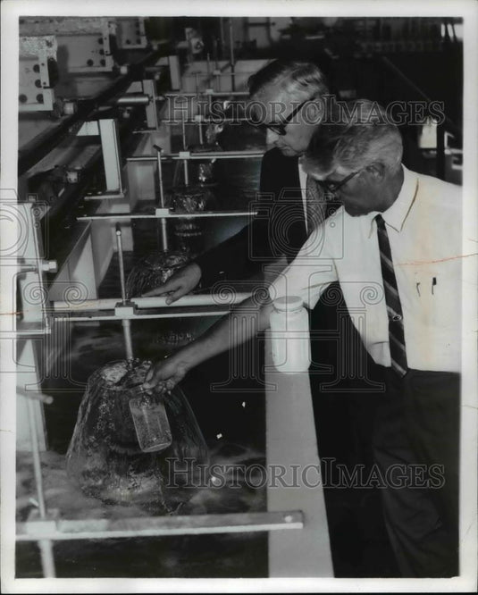 1971 Press Photo Inspecting water process treatment at Firestone Synthetic. - Historic Images