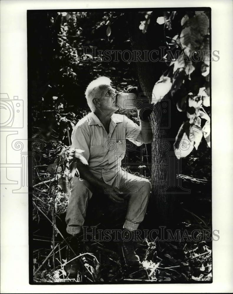 1985 Press Photo Photography (Best of 1985) - cva68432 - Historic Images