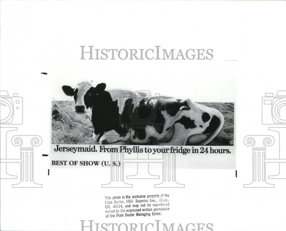 1988 Press Photo The Jerseymaid billboard - cva51063 - Historic Images