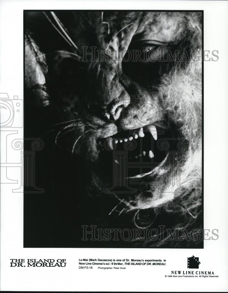 1996 Press Photo Mark Dacascos in The Island of Dr Moreau - cvp58393 - Historic Images