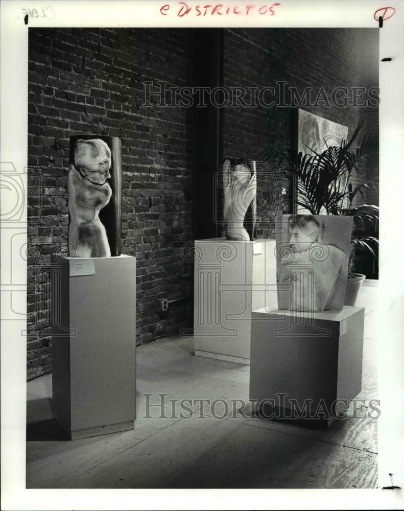 1987 Press Photo The Sandra Amitay&#39;s art at the Summer Gallery - cva67049 - Historic Images