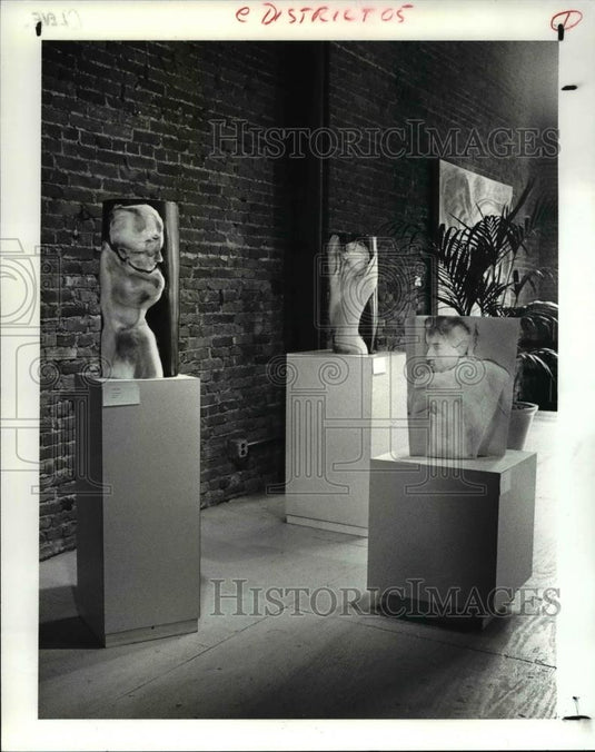 1987 Press Photo The Sandra Amitay's art at the Summer Gallery - cva67049 - Historic Images