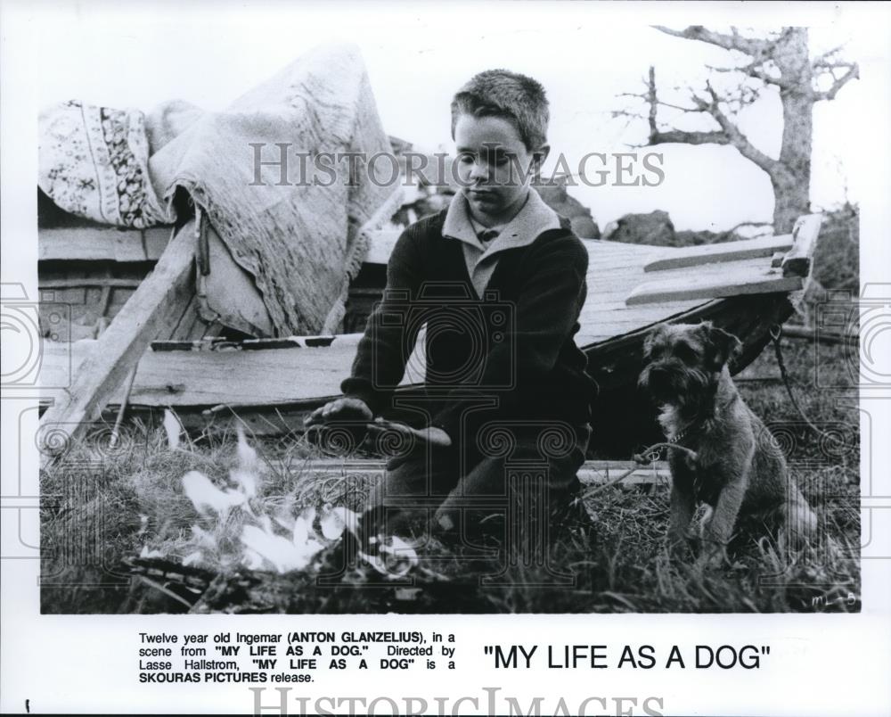 1987 Press Photo Anton Glanzelius stars in My Life as a Dog - cvp52444 - Historic Images