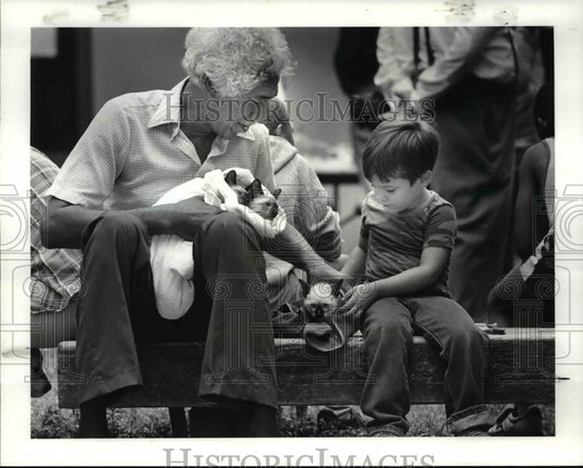 1986 Press Photo Three little kittens at the Free Animal Clinic at St. Phillips - Historic Images
