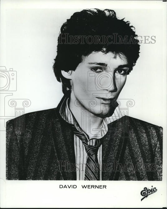 1979 Press Photo David Werner Glam Rock Songwriter Singer and Record Producer - Historic Images