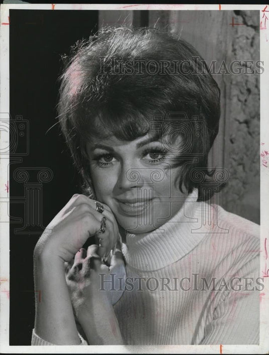 1973 Press Photo Singer Joann Pflug - cvp46644 - Historic Images