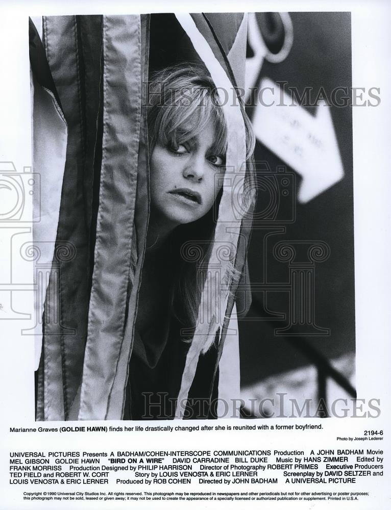 1990 Press Photo Goldie Hawn in Brid on a Wire - cvp68791 - Historic Images