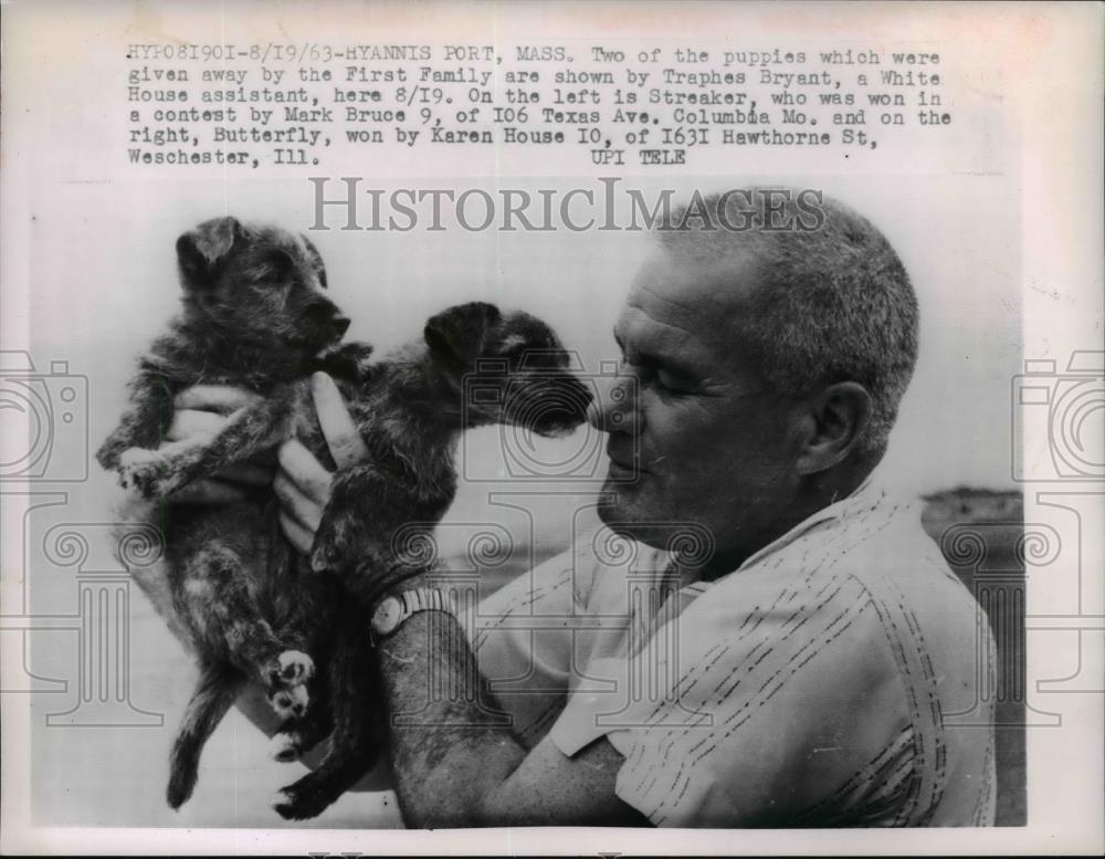 1963 Press Photo Traphes Byrant with Two Puppies - Historic Images