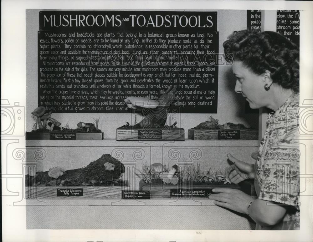 1949 Press Photo Velma Harris with Mushroom &amp; Toadstool Exhibit - Historic Images