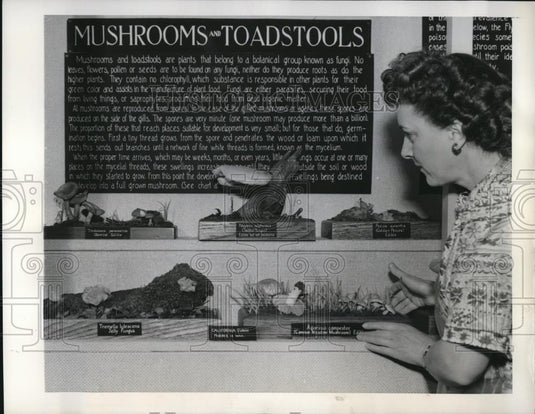 1949 Press Photo Velma Harris with Mushroom & Toadstool Exhibit - Historic Images
