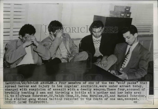 1950 Press Photo of four members of the two wolf packs that terrorized citizens - Historic Images