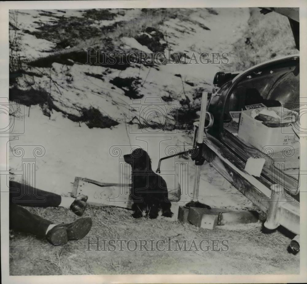 1952 Press Photo Eacine Wis  puppy &amp; Carl Anderson  after car fell on hm - Historic Images