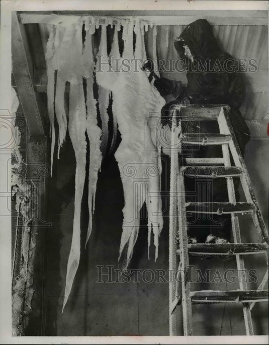 1953 Press Photo Ed Plunkard & Huge Icicles - Historic Images