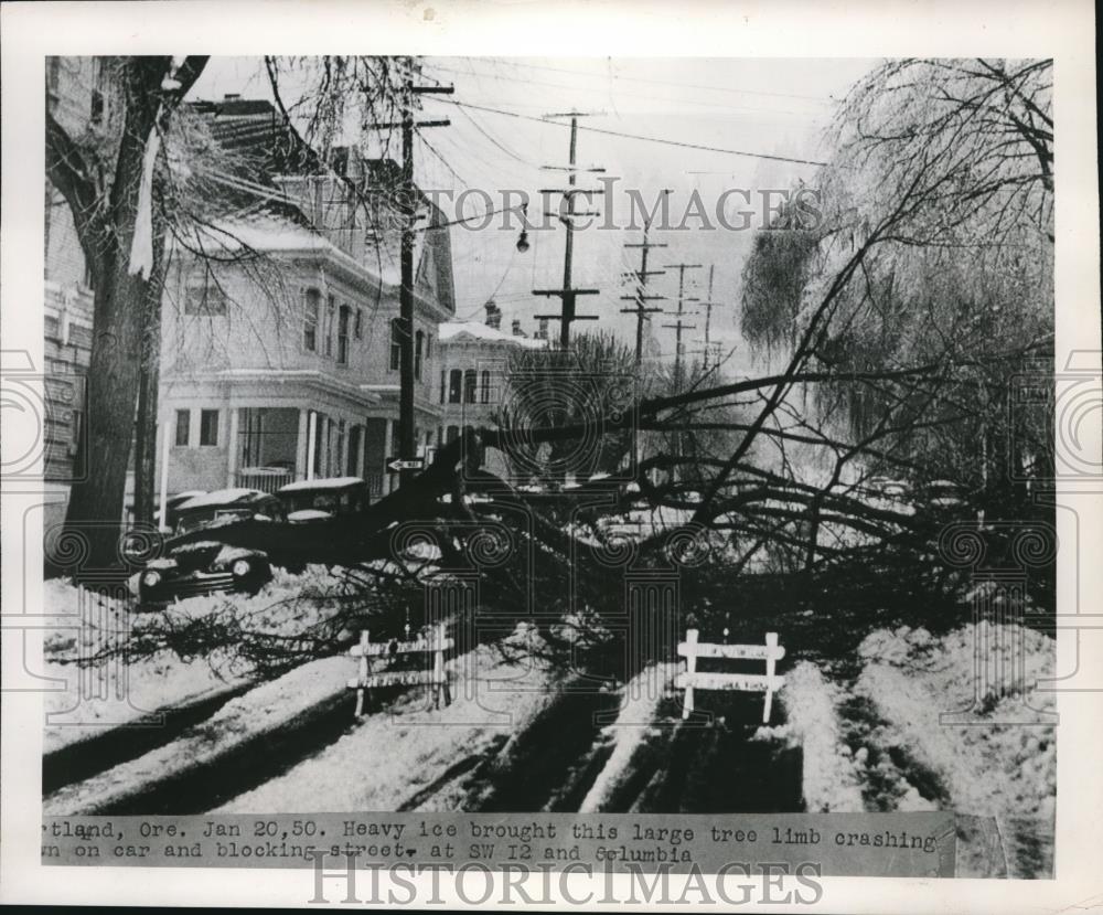 1950 Press Photo Fallen Tree Crushes Car, Blocking Street, Portland Oregon - Historic Images