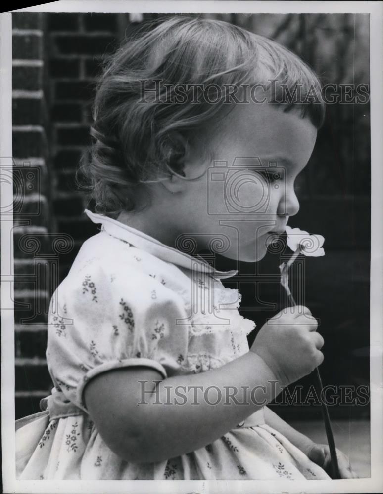 1959 Press Photo Julie King Sniffing Jonquil of Alexandria Indiana - Historic Images