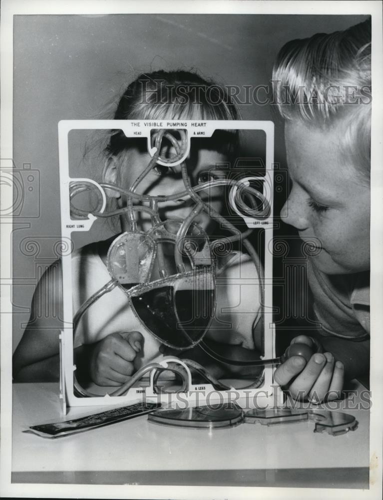 1962 Press Photo A plastic toy heart display for children - Historic Images