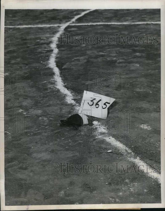 1948 Press Photo Turtle Crosses Finish Line in Derby - Historic Images