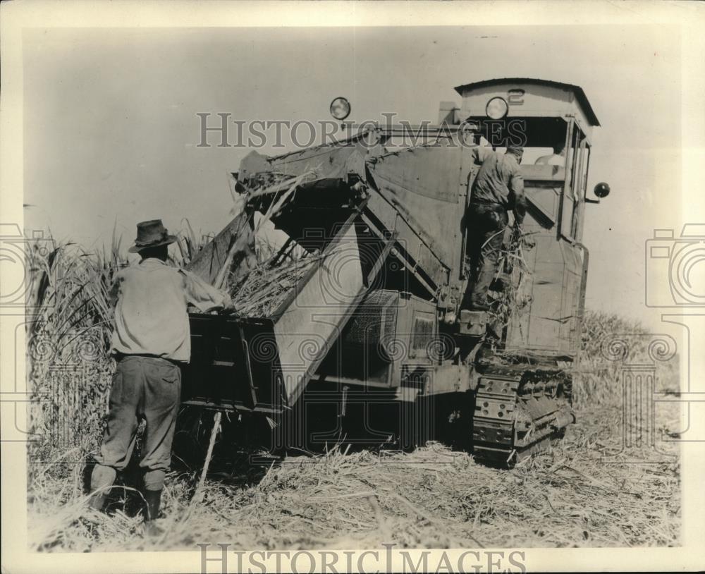 1930 Press Photo of a rear view of a sugar can harvester. - Historic Images