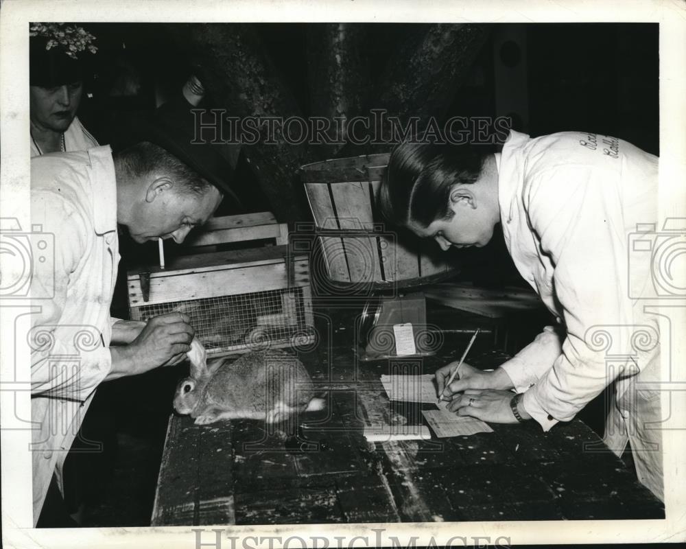 1943 Press Photo Mel Behrens, Mr. Steele and a rabbit - Historic Images