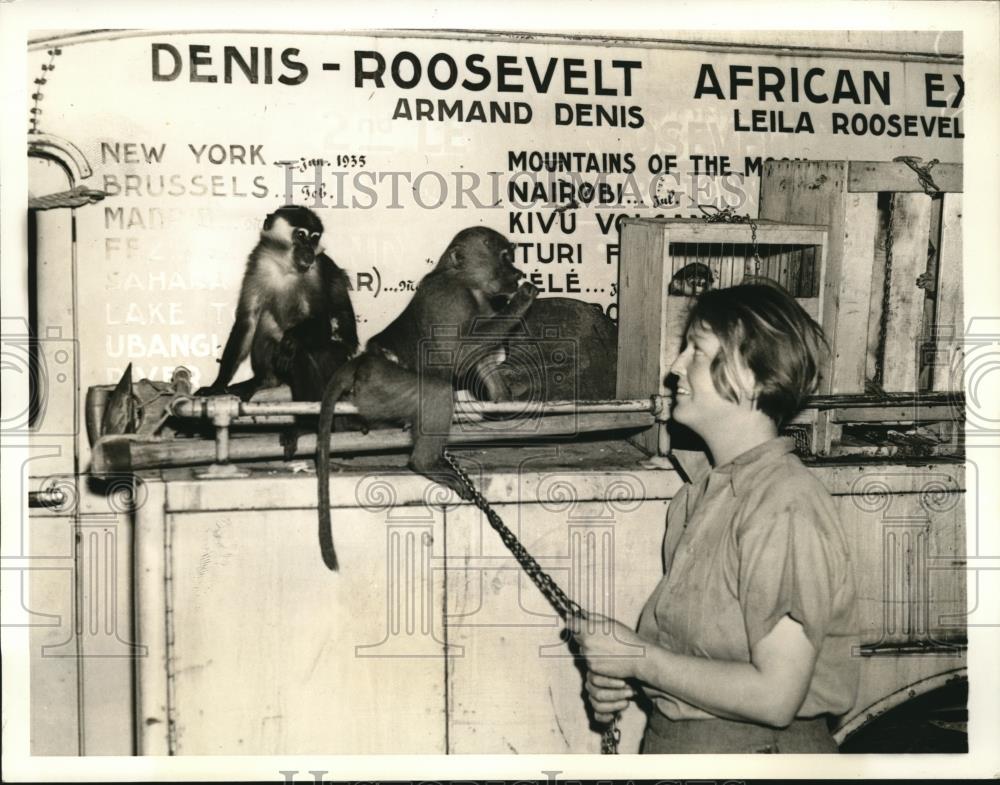 1936 Press Photo Mrs. Armand Dennis, Chacma Baboon &amp; the monkey from Africa - Historic Images