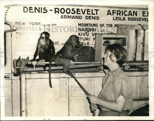 1936 Press Photo Mrs. Armand Dennis, Chacma Baboon & the monkey from Africa - Historic Images