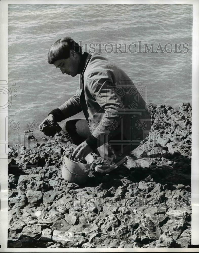 1968 Press Photo David Loring Collecting bay Mud - Historic Images
