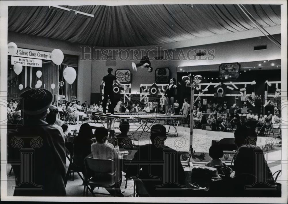 Press Photo The Personu family performing on a trampoline - nee12669 - Historic Images