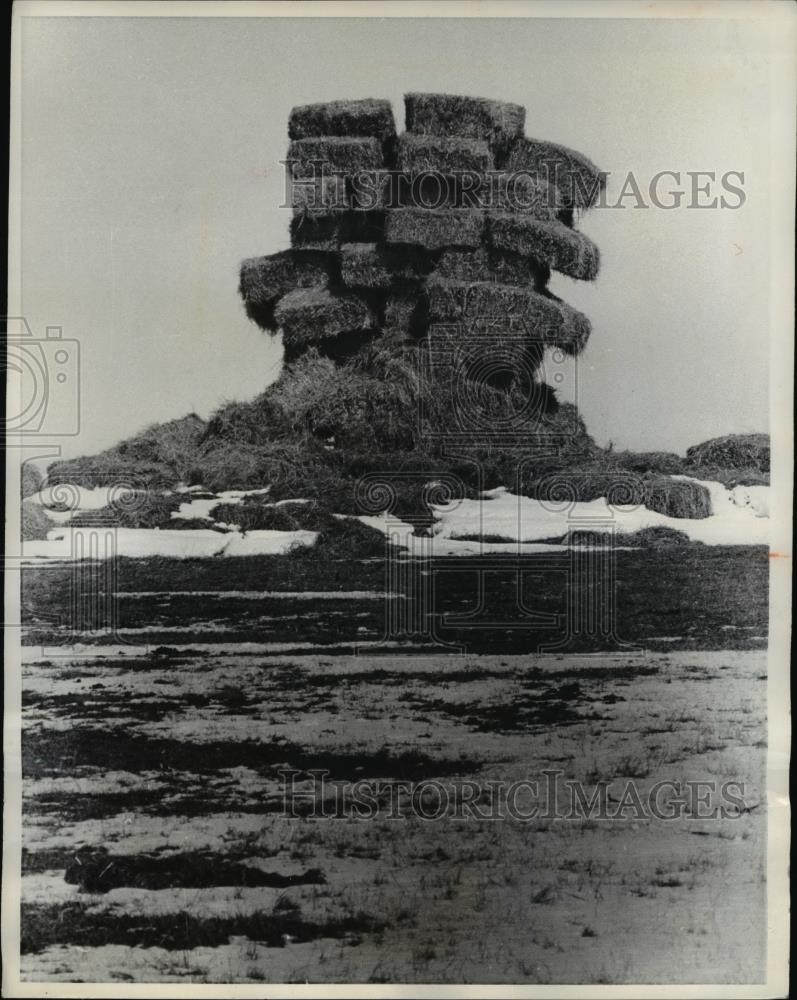 1970 Press Photo Stack of Hay for the horses to eat - nee16126 - Historic Images