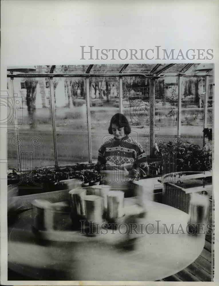 1961 Press Photo Judy Karman at Carroll College in Waukesha&#39;s greenhouse - Historic Images