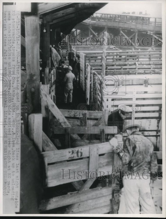 1946 Press Photo KC stockyards, loading pens with hogs, KC Mo. - nee13125 - Historic Images