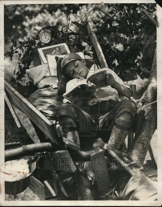 1930 Press Photo Billy McDonnell perches on tree in Camden, NJ - Historic Images