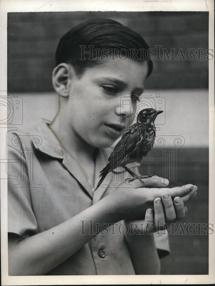 1943 Press Photo Jon Fuhrer with robin - Historic Images