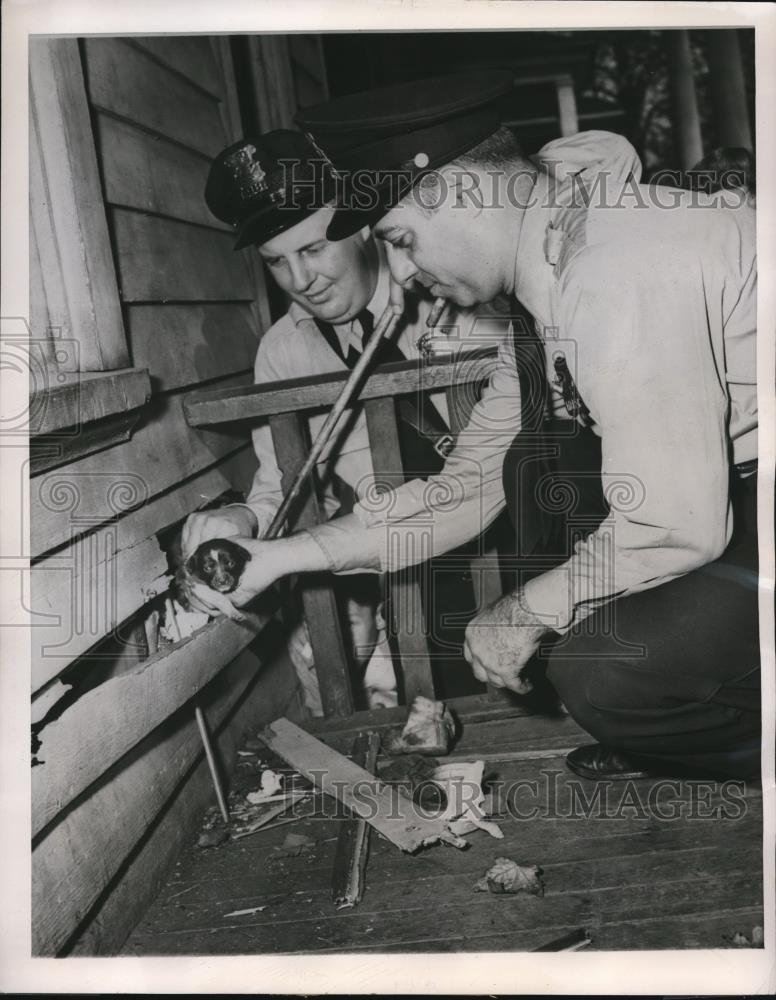 1950 Press Photo 2 policemen rescue 3 week old pup from home in Detroit - Historic Images