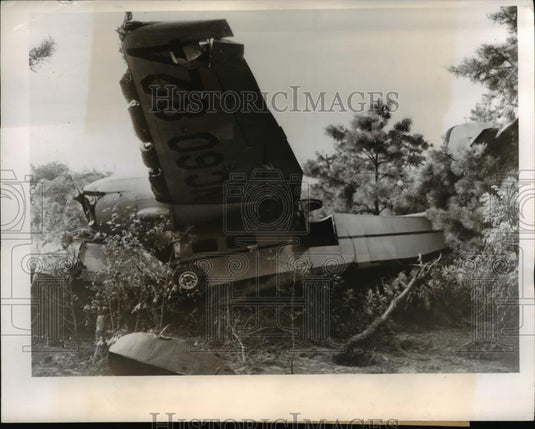 1947 Press Photo Wreckage of Gruman G-21 amphibian in cluster of evergreen - Historic Images