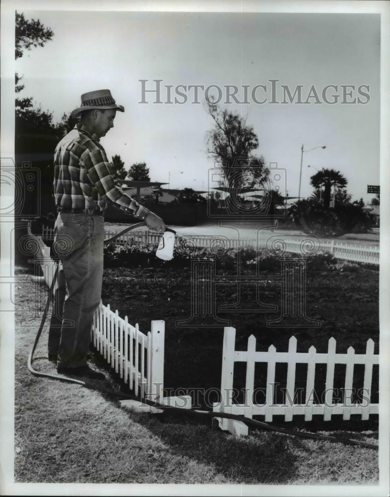 1966 Press Photo A man spraying fertilizer to the plants - Historic Images