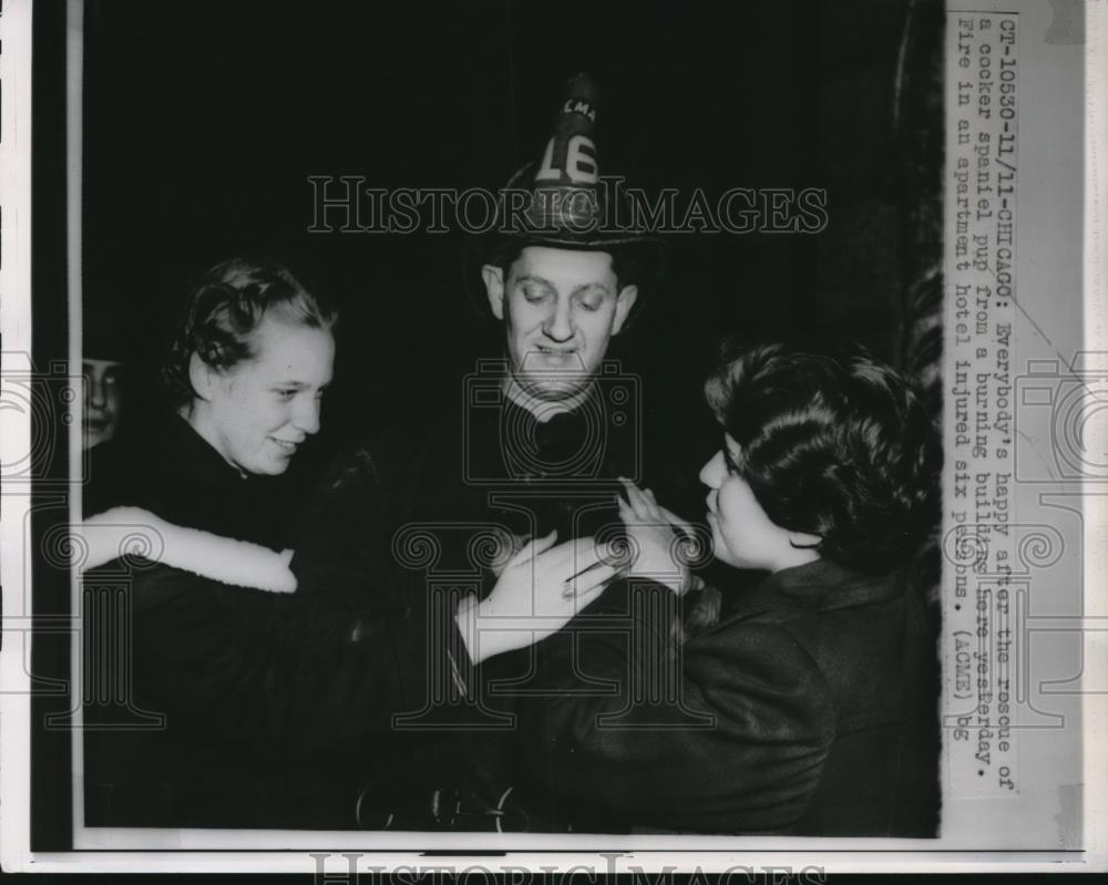 1950 Press Photo Rescued Cocker Spaniel Greeted By Firefighter &amp; Others Chicago - Historic Images