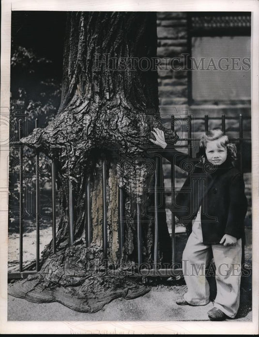 1960 Press Photo Little Jay Roth By Tree Growing Over Fence - Historic Images