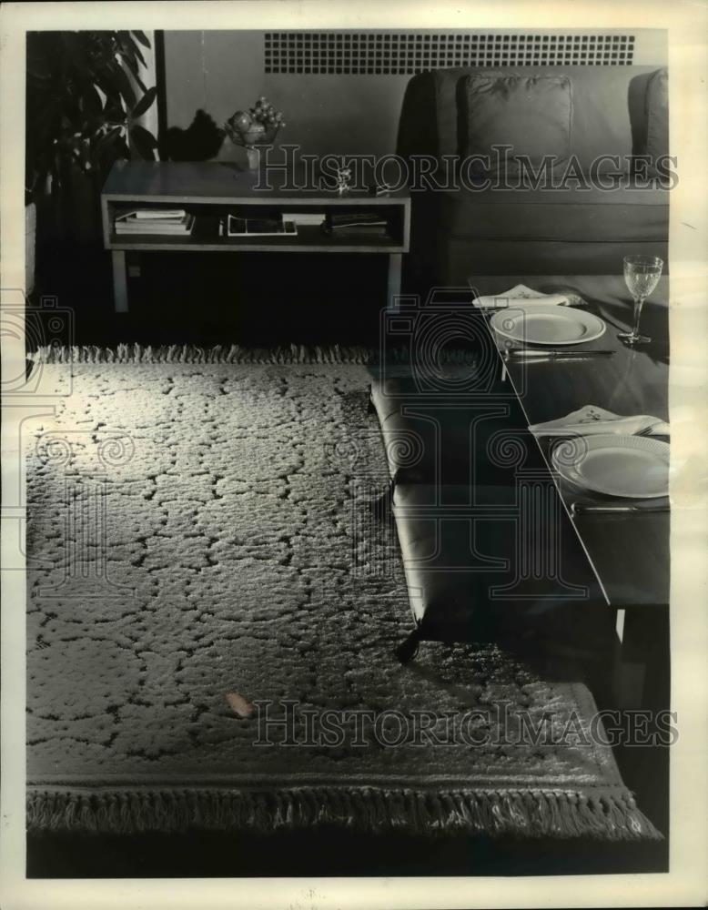 1963 Press Photo Rug is Effective Decorating Piece for Any Room - Historic Images