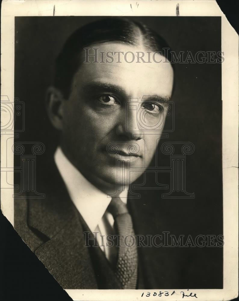 1931 Press Photo Owen D Young - Historic Images