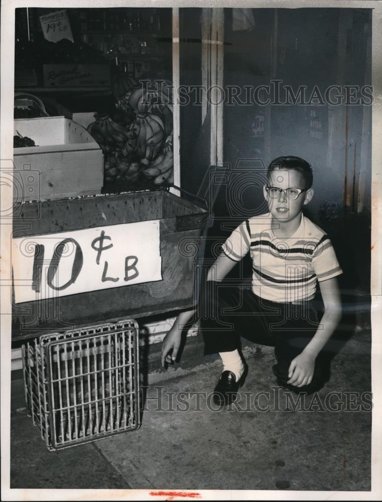 1951 Press Photo David Sierputowski found $115 - Historic Images