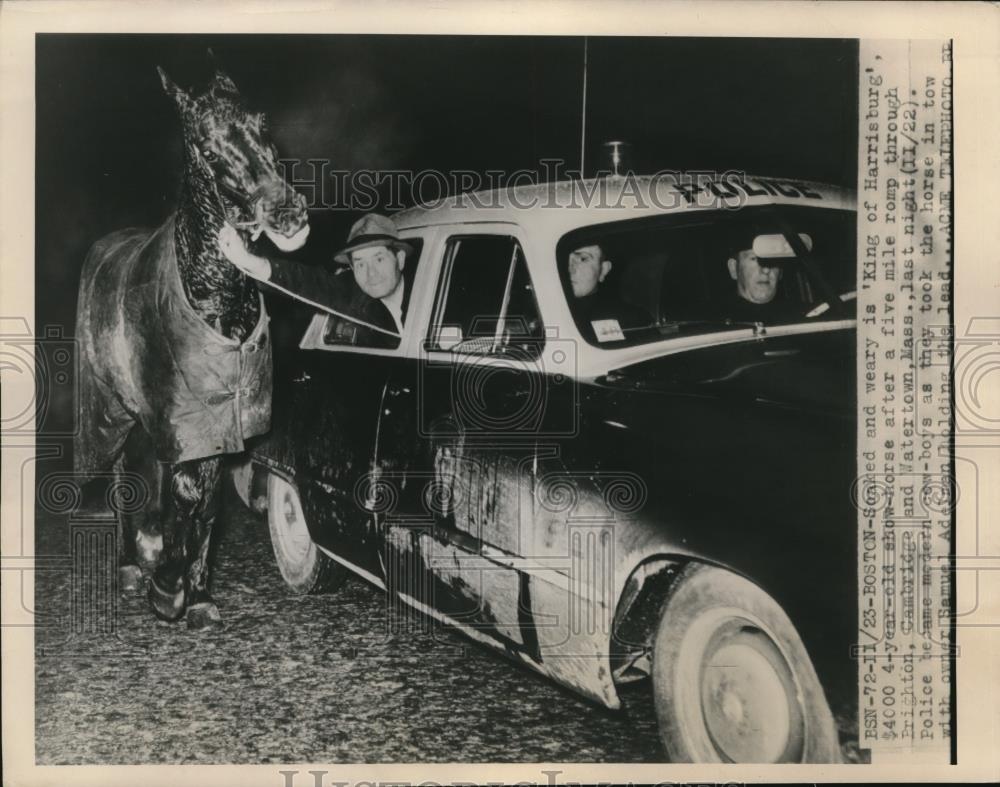 1948 Press Photo King of Harrisburg 4 Year Old Show Horse - Historic Images