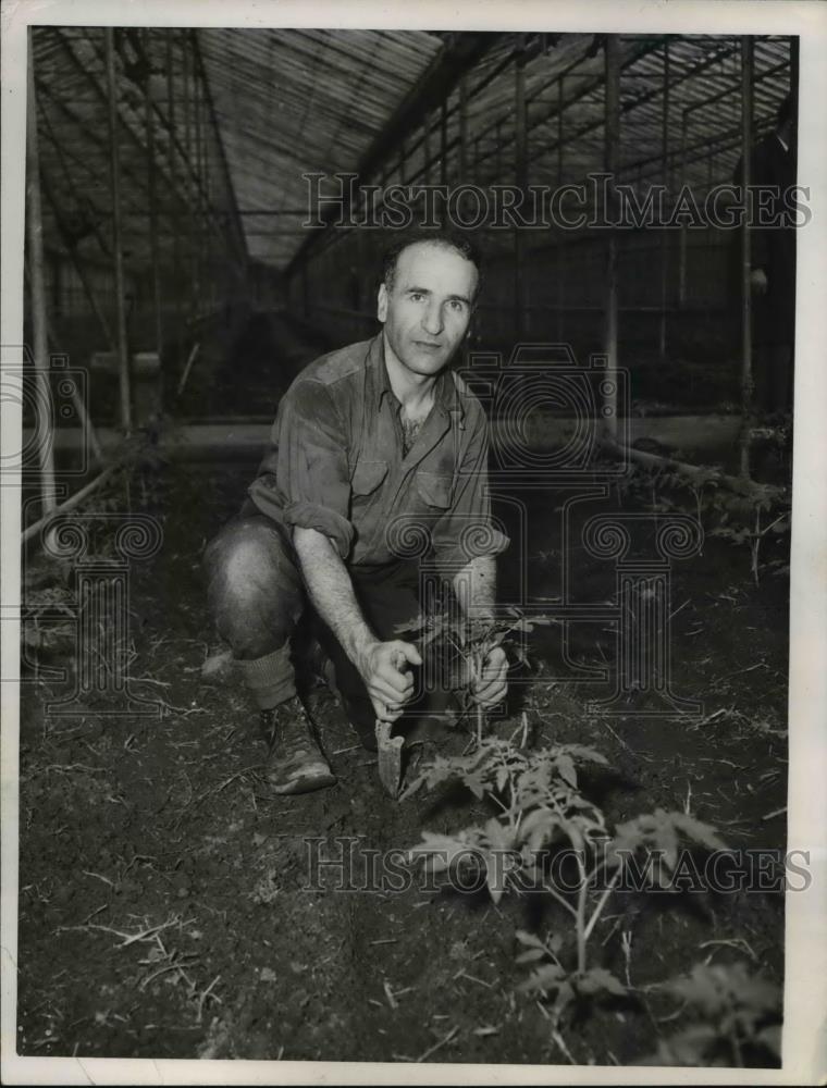 1950 Press Photo Dr. Hrant Vartanian Works in Greenhouse to Learn English - Historic Images