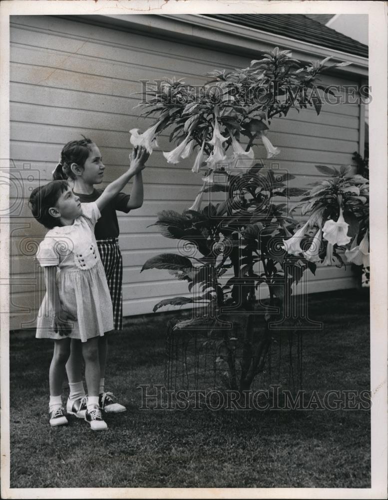 1957 Press Photo Linda and Laureen Pleshinger look at Flowers - Historic Images