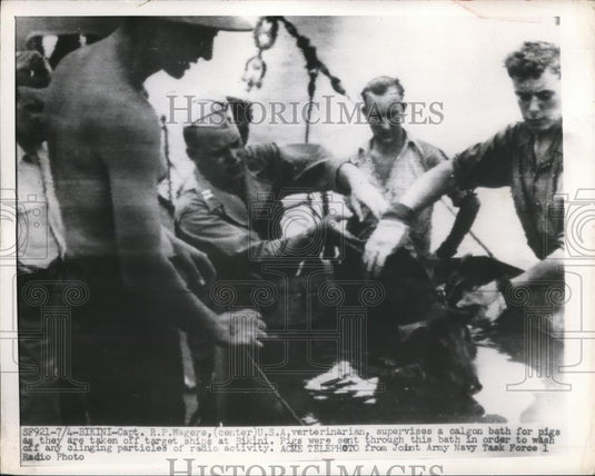 1946 Press Photo Captain R.P. Wagers supervises his people bathing a pig - Historic Images