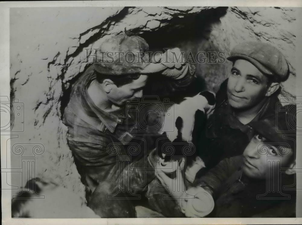1938 Press Photo Led Emmett Simon with the Fox Terrier that he rescued - Historic Images