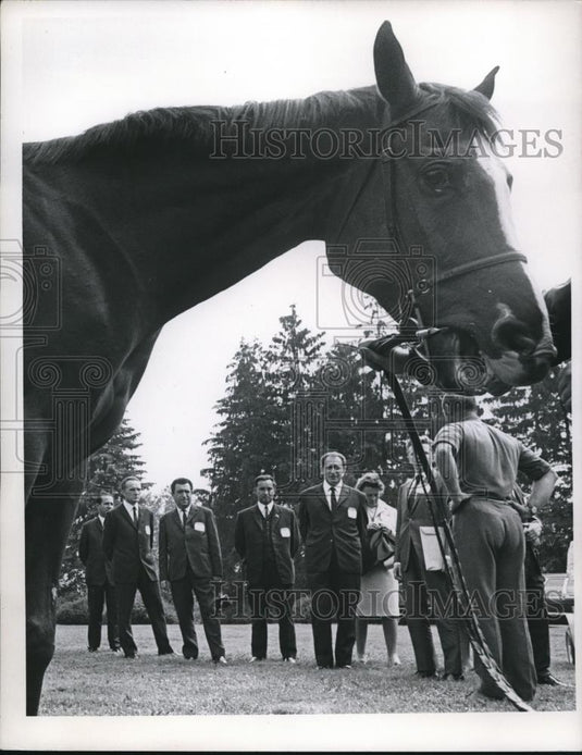 Press Photo Acadia Farms Work Horse Shown to Russian Visitors, Raymond Francis - Historic Images