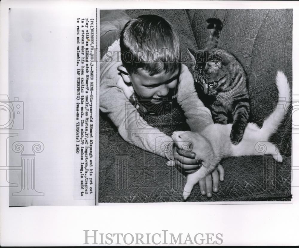 1960 Press Photo Little Edward Alspaugh and his pet cat and a mink - Historic Images