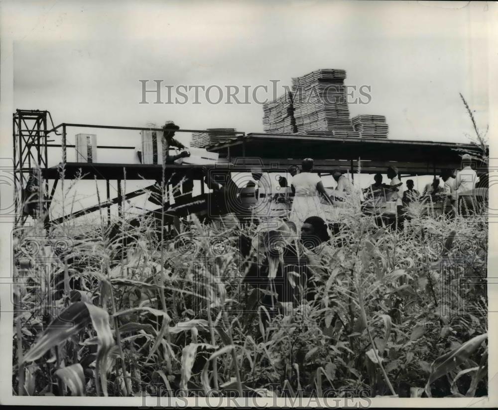 1959 Press Photo Mobile Corn Packing Unit - nee26550 - Historic Images